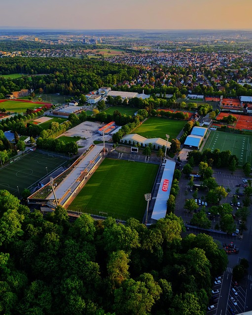 也希望面临 也希望面临