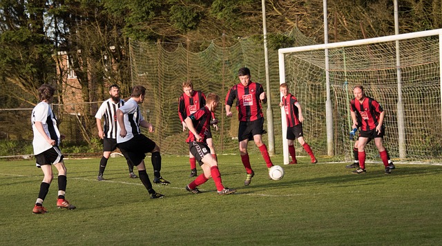 企业扎根中 企业扎根中