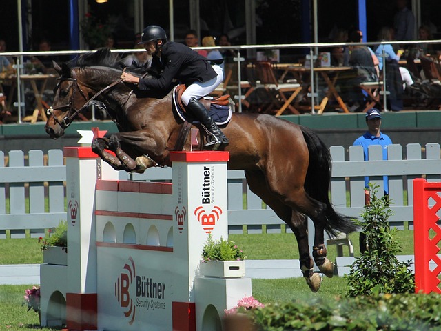 本文将探讨 本文将探讨