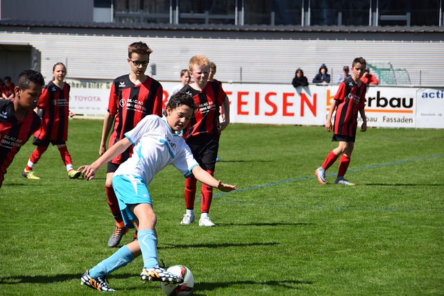 类似内容加 类似内容加