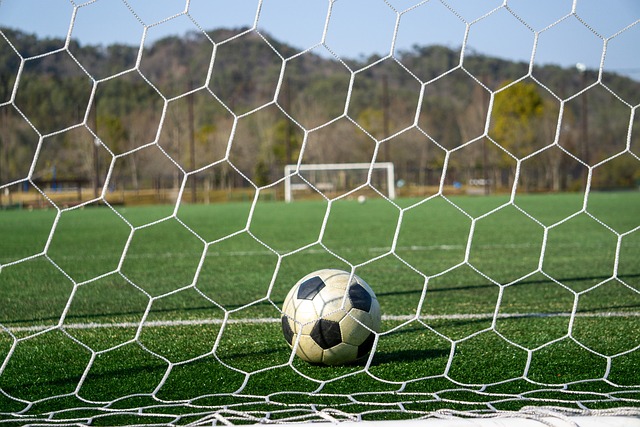 [NBA]约基奇29分17篮板9助攻 掘金战胜黄蜂.